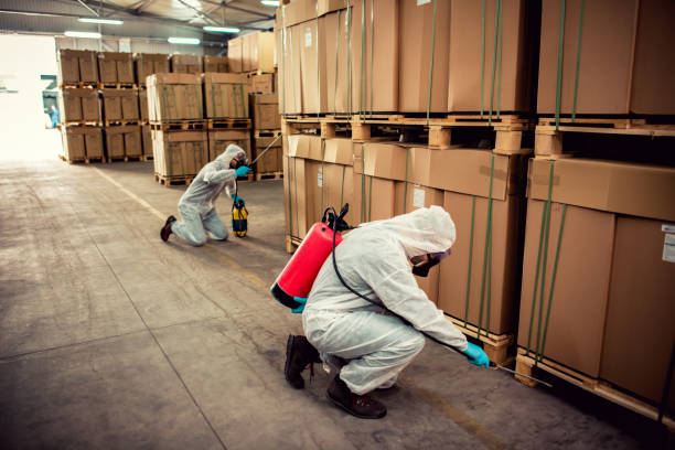 Wildlife Control Services in Kenmore, WA