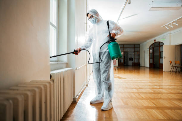 Best Best Pest Control Companies  in Kenmore, WA