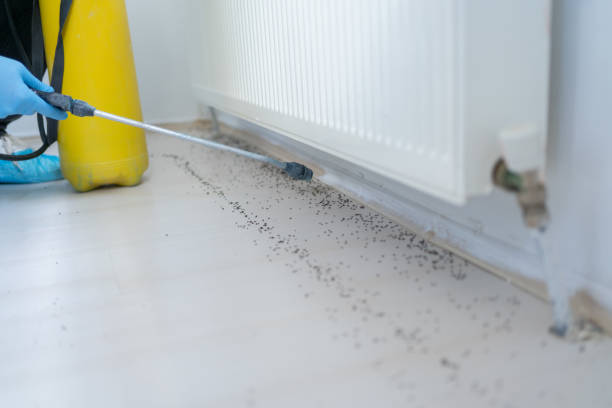 Best Mosquito Control Services  in Kenmore, WA