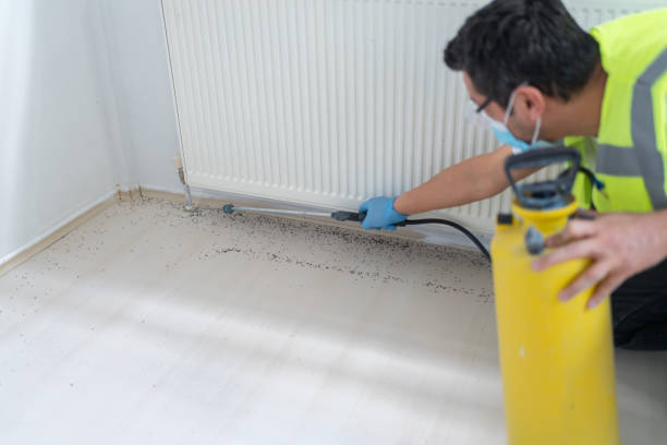 Best Pest Control Near Me  in Kenmore, WA